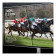 Acer CE270UX 27" QD-OLED Quad HD 240Hz 0.03ms height adjustable monitor with speakers