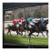 Acer EK221QJ0 21.5" Full HD 120Hz 1ms VGA HDMI Ergonomic Stand ZeroFrame Design Monitor