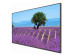 Refurbished - Benq ST4302S 43" Smart Digital Signage 4K UHD Monitor