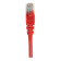 Intellinet Network Solutions 10-Meter Cat5e Male UTP Patch Cable Red