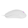 CIT Raptor 4-in-1 Keyboard Mouse Headset Mouse Pad Combo Kit - White