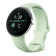 Google Pixel Watch 3 41mm Active Sport Band Large fits 165-210mm Wrists - Wintergreen