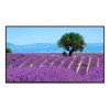 Refurbished - Benq ST4302S 43" Smart Digital Signage 4K UHD Monitor