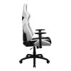 ThunderX3 TC3 MAX Gaming Chair - All White