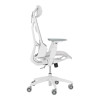 ASUS ROG Destrier Core Cyborg-Inspired Design Gaming Chair White