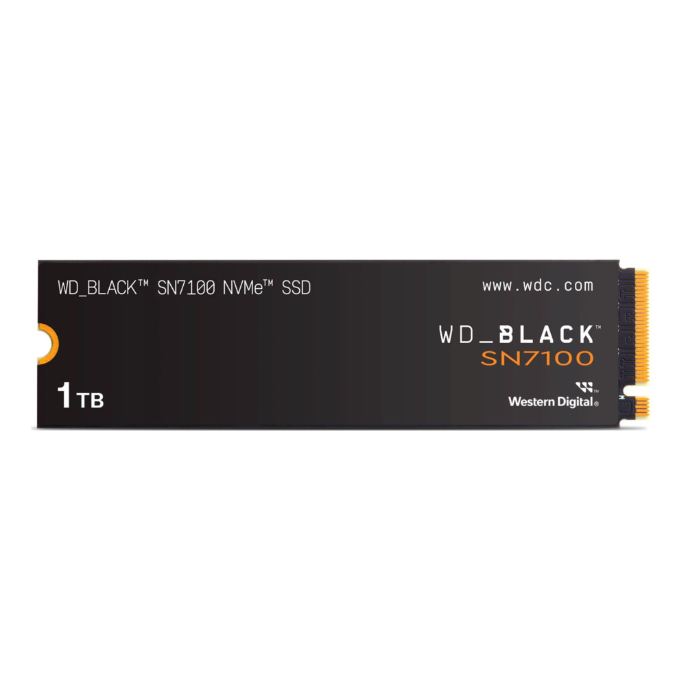 WDS100T4X0E-00CJA0