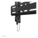 Neomounts WL30S-850BL12 24-65" Lockable Fixed TV Wall Mount - Black