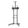 Neomounts FL50-550BL1 37-70" 50kg Height Adjustable Mobile TV Trolley Stand with Camera Shelf - Black