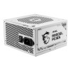 MSI MAG A850GL 850W Full Modular 80+ Gold PCIe 5.0 Compact Power Supply