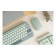 ASUS Marshmallow KW100 75% Wireless Keyboard - Green