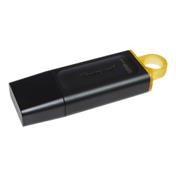 kingston-technology-datatraveler-dtx-128gb