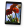 Apple iPad A2604 Apple A13 64 GB Storage 10.2 inch Touchscreen IPS iPadOS 15 Tablet