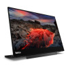 Lenovo ThinkVision Lenovo M14t 14" IPS LED Quad HD+ Touchscreen Monitor