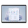 Microsoft Surface Pro 9 Intel Core i7-1265U 32GB RAM 1TB SSD 13" Tablet - Platinum