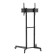 Neomounts FL50-540BL1 37-70" Height Adjustable Mobile Floor Stand TV Trolley Stand - Black