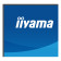 iiyama ProLite XB2797QSU-B1 27" Quad HD IPS 75Hz 1ms Height Adjustable Monitor with Speakers - Matte Black