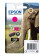 Epson Elephant Singlepack Magenta 24XL Claria Photo HD Ink