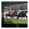 Acer KB242YP0bi 24" Full HD 144Hz 1ms Freesync VGA HDMI ZeroFrame Design Monitor
