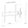 Neomounts FPMA-W300BLACK 32-55" Ultra Slim Fixed TV Wall Mount - Black
