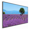 Refurbished - Benq ST4302S 43" Smart Digital Signage 4K UHD Monitor