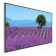 Refurbished - Benq ST4302S 43" Smart Digital Signage 4K UHD Monitor