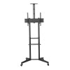 Neomounts FL50-550BL1 37-70" 50kg Height Adjustable Mobile TV Trolley Stand with Camera Shelf - Black