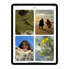 Apple iPad Air 13 A2898 Apple M2 128 GB Storage 13 inch Touchscreen IPS iPadOS 17 Tablet