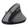 Trust TM-270 Office Right-hand RF Wireless Optical 2400 DPI Mouse Black