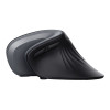 Trust Verro Ergonomic Right-hand RF Wireless 1600 DPI Mouse - Black