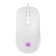 CIT Raptor 4-in-1 Keyboard Mouse Headset Mouse Pad Combo Kit - White