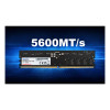ADATA Premier AD5U560016G-S 16GB (1 x 16GB) 5600 MHz DDR5 Desktop Memory