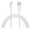 Griffin GP-003-WHT Charge Sync Data 1M Transfer Cable with Lightning Connector