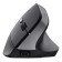 Trust Bayo II Right-hand RF Wireless Optical 2400 DPI Mouse - Black