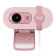 Logitech Brio 100 Full HD USB 30 fps Webcam - Rose