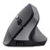 Trust TM-270 Office Right-hand RF Wireless Optical 2400 DPI Mouse Black