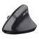 Trust Bayo II Right-hand RF Wireless Optical 2400 DPI Mouse - Black
