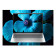 Refurbished - HP EliteBook 6 G1i 16 Intel Core Ultra 7 255U 16GB RAM 512GB SSD 16" Windows 11 Pro Laptop