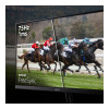 Refurbished - Acer SA322QUE 32" IPS Quad HD 100Hz 1ms HDR10 Ultra Thin Monitor with Speakers