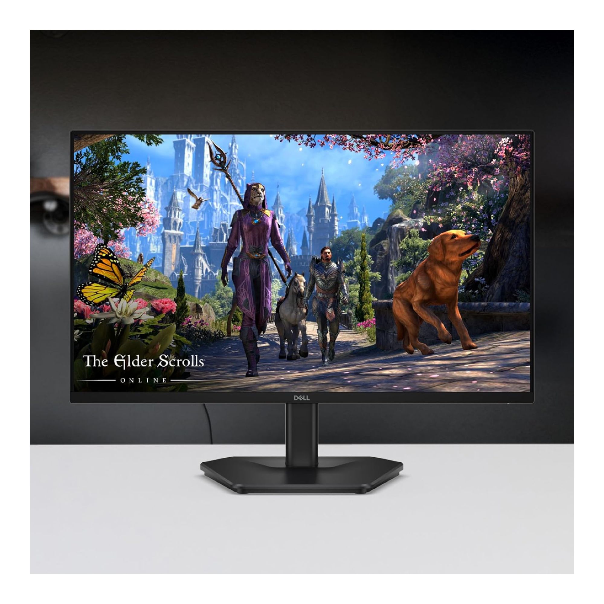 Dell SE2725HG 27