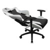 ThunderX3 TC3 MAX Gaming Chair - All White