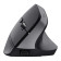 Trust Bayo+ Right-hand RF Wireless Optical 2400 DPI Mouse - Black