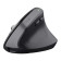 Trust Bayo+ Right-hand RF Wireless Optical 2400 DPI Mouse - Black