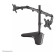 Neomounts FPMA-D550DDBLACK 10-32" Full Motion Dual Monitor Stand - Black