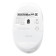 ASUS Fragrance MD101 2400 DPI RF Wireless Optical Mouse - Iridescent White