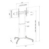 Neomounts FL50-540BL1 37-70" Height Adjustable Mobile Floor Stand TV Trolley Stand - Black