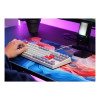 Cherry XTRFY K4V2 RGB Tenkeyless Retro Edition Wired Gaming Keyboard - Grey
